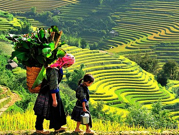 4 days 3 nights package Hanoi- Sapa