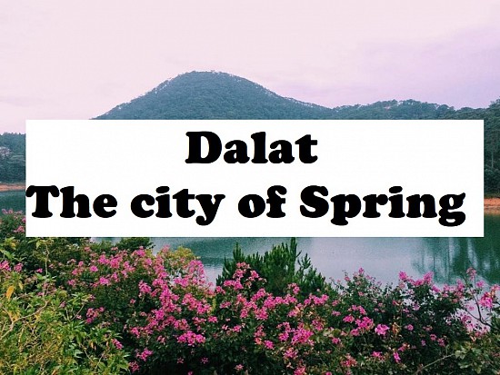 Top places to travel in Vietnam (Part 11): Dalat - The city of Spring