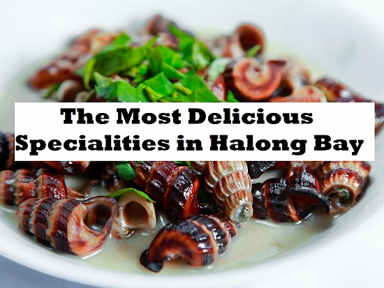 What to eat and Travel Tips (Part 2): Top 10 Most Favor Dishes in Halong Bay